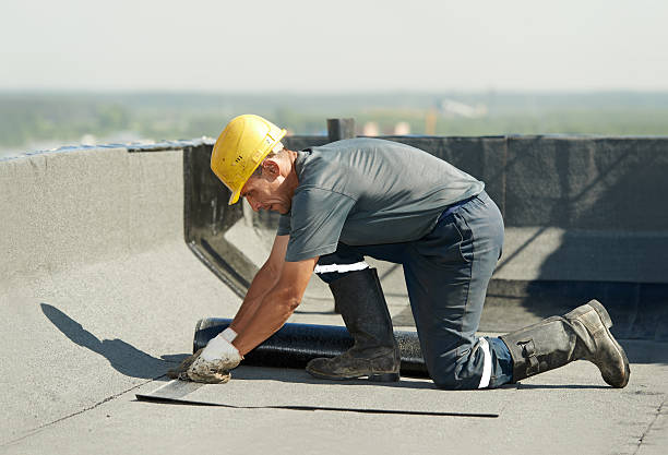 Best Specialty Insulation in Wildwood Lake, TN